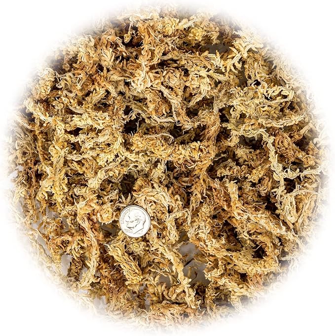 Gardenera Premium New Zealand Sphagnum Moss - Organic Hand Mixed Long Fibered Sphagnum Moss Orchid - 3 Quart