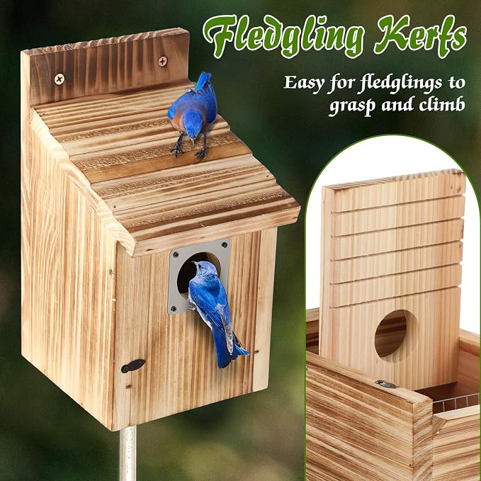 Dreyoo 8 Pack Bluebird Houses for Outside with Metal Predator Guard, 1-1/2" Entrance Hole Wooden Blue Bird Houses for Outdoors, Bluebird Nesting Box with Screwdriver (Burnt Wood Color)