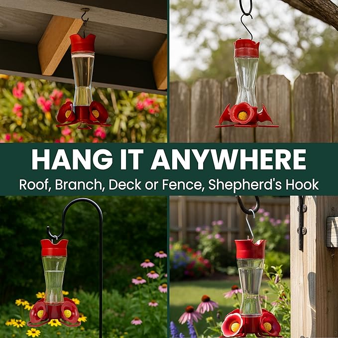 Perky-Pet Glass Hummingbird Feeders for Outdoors with Ant Moat, Bee Guards, & Perches, 8oz Nectar Capacity, Wide-Mouth Bottle for Easy Filling & Cleaning, Outdoor Garden Décor, 203CPBN-2 (Pack of 2)