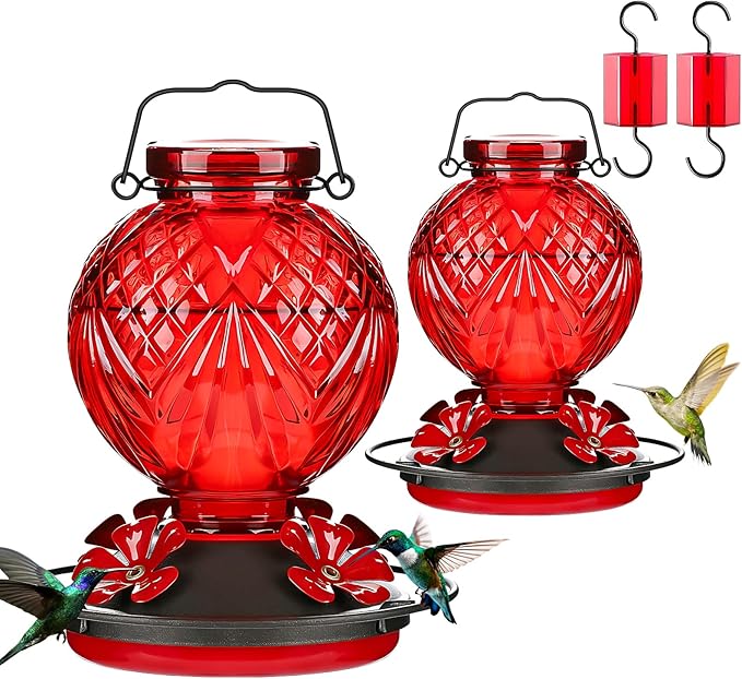 Glass Hummingbird Feeder for Outdoors Hanging, 20oz Bird Nectar Feeder with 4 Bee Guard Flower-Shaped Feeding Ports & Built-in Ant Moat, Easy to Clean, for Bird Lover,2 Pack,Red
