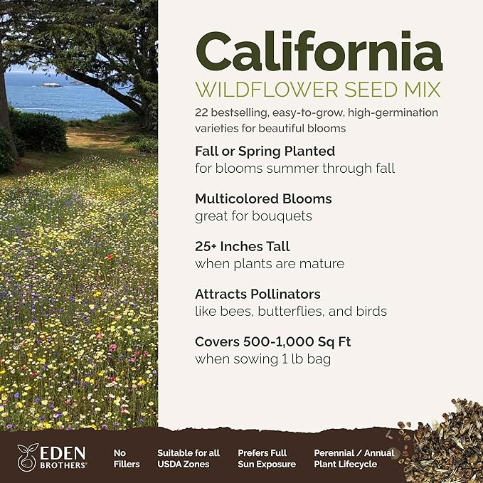 Eden Brothers California Wildflower Mixed Seeds for Planting, 1 lb, 480,000+ Seeds with Black Eyed Susan, Shasta Daisy | Attracts Pollinators, Plant in Spring or Fall, Zones 3, 4, 5, 6, 7, 8, 9, 10