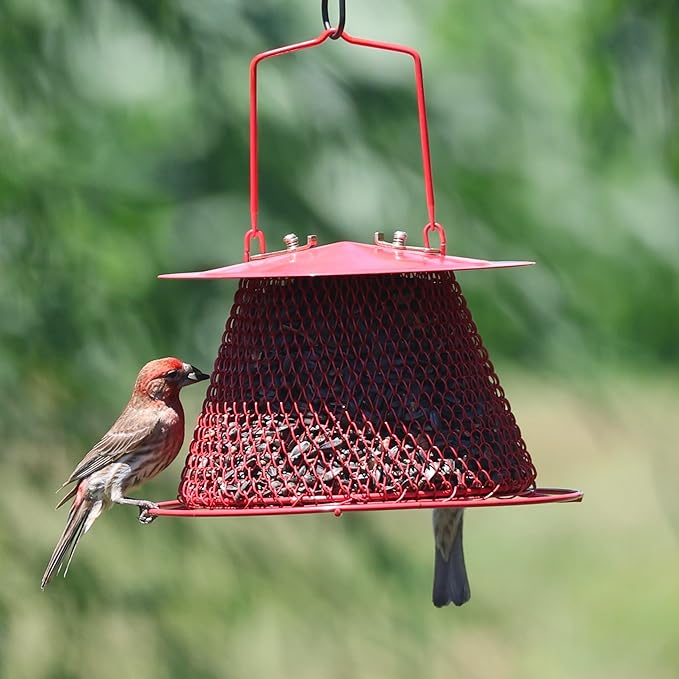 Red Collapsible Mesh Bird Feeder - Small Hanging Bird Feeder - Holds 1 Pound of Sunflower Seeds