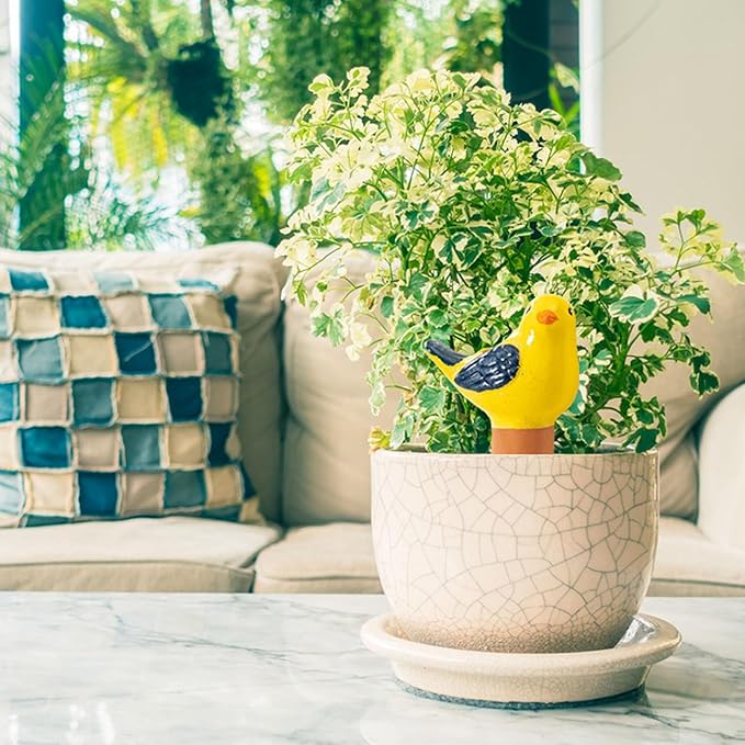 Mother’s Day Gift for Mom from Daughter or Son, 4 Pack Self-Watering Bird Shaped Globes, Terracotta Automatic Watering Spikes, Slow Release Plant Watering Devices for Indoor & Outdoor Potted Plants