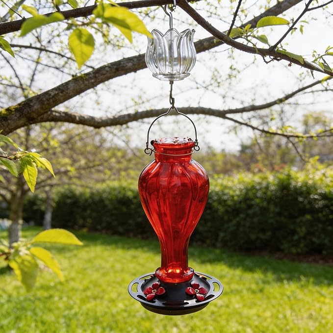 Glass Ant Moat for Hummingbird Feeder - 3 OZ Clear Tulip Insect Guard with Large Capacity