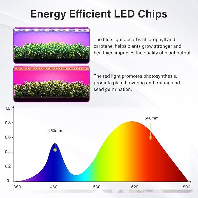 iPower LED Grow Light Strips Full Spectrum for Indoor Plants with Auto ON/Off 3/9/12H Timer, 10 Dimmable Levels 48 LEDs Per Tube, Sunlike Grow Lamp for Hydroponics Succulent, 1 Pack, Red&Blue, 4 Tubes