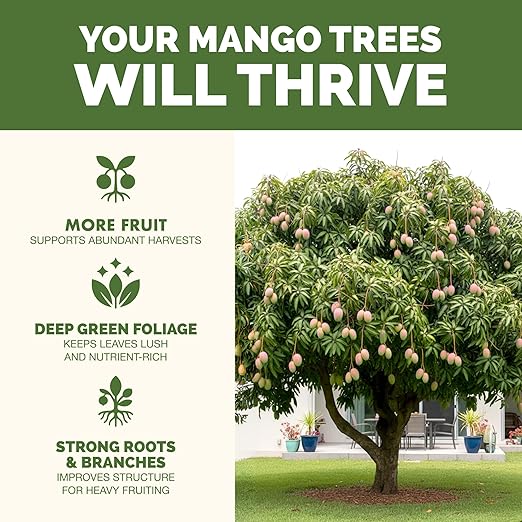 Mango Tree Fertilizer – Liquid Plant Food for More Fruit, Stronger Blossoms & Healthy Tree Growth, 1 Gallon