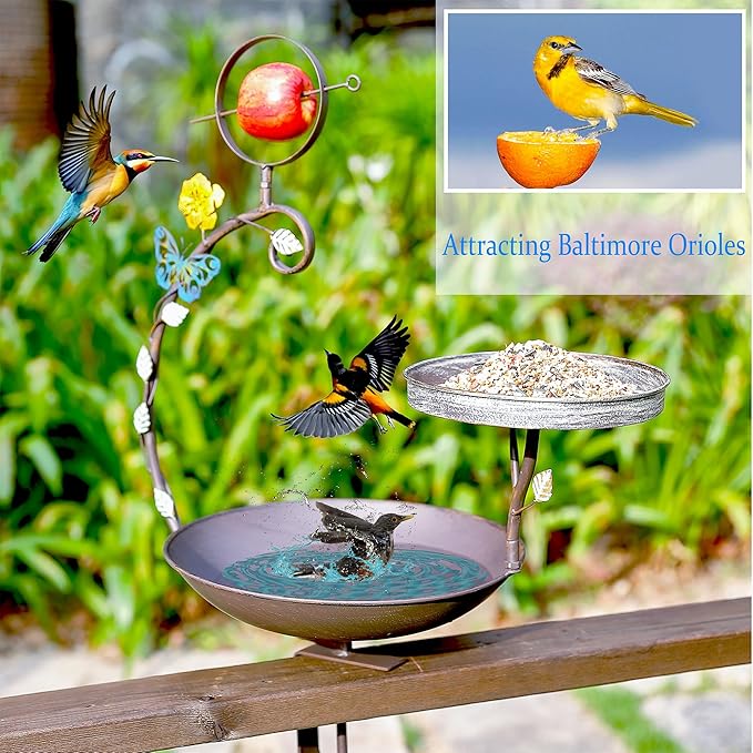 Deck Mounted Bird Bath, 2 in 1 Bird Feeder for Balcony with Fruit Spear, Railing Bird Feeder for Porch Patio Garden