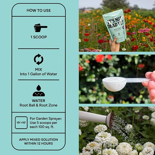 Bloom & Bed – It's Not Dead Yet mitogrow Patented Powder Formula, Makes 50 Gallons