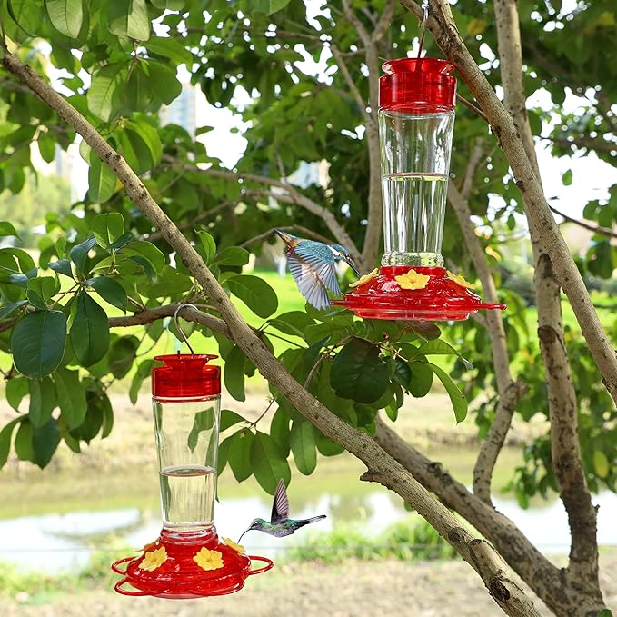 Shrdaepe Hummingbird Feeder, Glass Bottle Bird Feeders, 5 Feeding Ports, 10-Ounce Nectar Capacity, 2 Pack