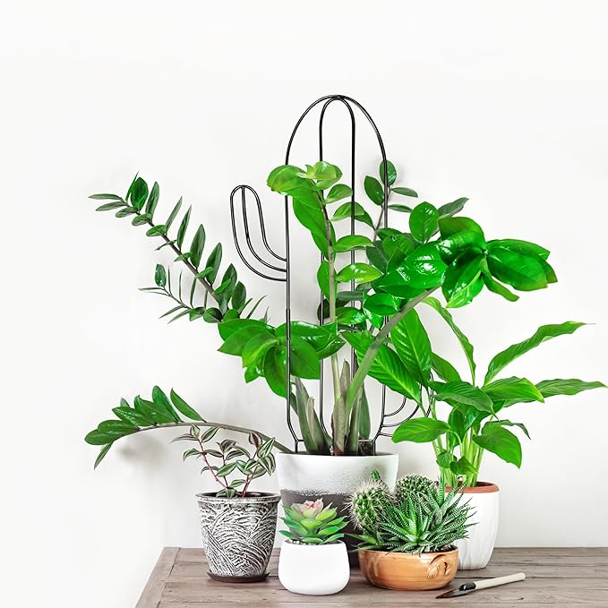 Plant Trellis for Climbing Plants Indoor, Cactus Trellis for Potted Plants, Pothos Hoya Monstera Metal Houseplant Climbing Support for Garden Balcony, 2P