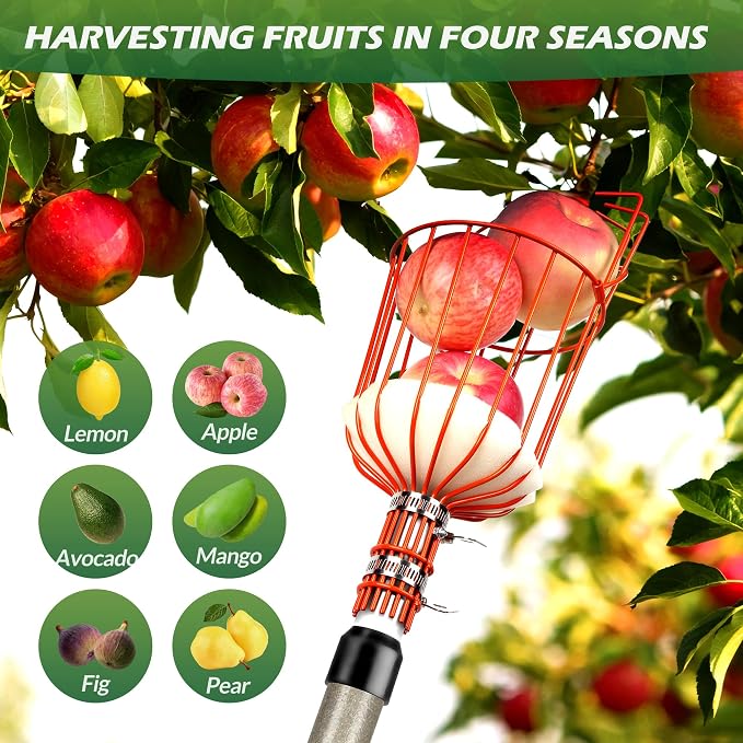 Walensee 23FT Fruit Picker with Basket, 35-276 Inch Ultra-Long Mango Picker Pole, Heavy Duty Cherry Picker Tool for High Tree, Citrus Apple Avocado Pear Lemon Orange Picking, with Storage Bag