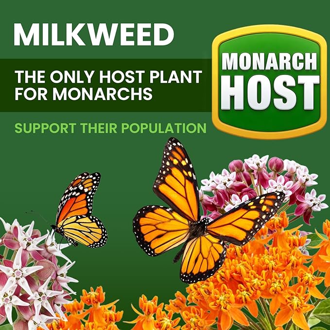 Milkweed Seeds for Monarch Butterflies – Wildflower Seeds Mix 18000+ Seeds (1.76 oz), Perennial Pollinator Garden Flowers, Attract Bees, Butterflies & Hummingbirds, Easy to Grow