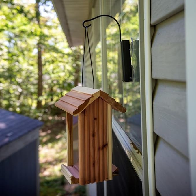 Pennington Classic Window Hook Used for Bird Feeder, Suction Cup Hook