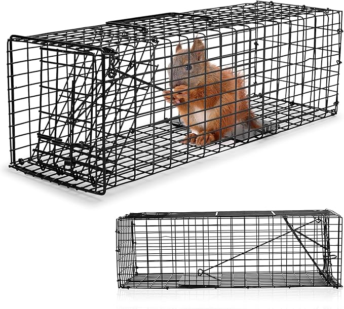Qualirey 1 Pcs Humane Squirrel Trap Heavy Duty Live Animal Chipmunk Catch and Release Rat Trap for Outdoor Small Animals Mouse Raccoon Stray Cat Rodent Weasels (Black)