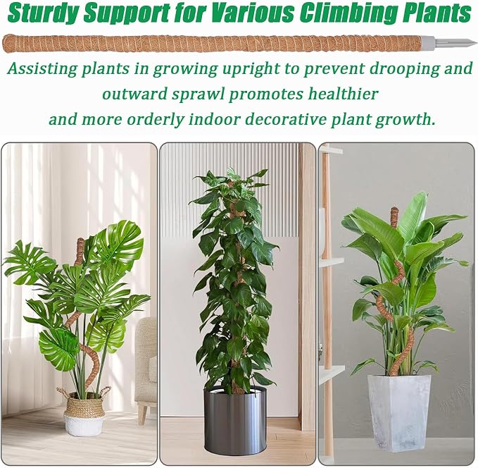 3-Pack Tall Moss Poles (50 Inch) - Coco Coir Plant Support Sticks for Potted Plants (Monstera, Pothos, Philodendron)