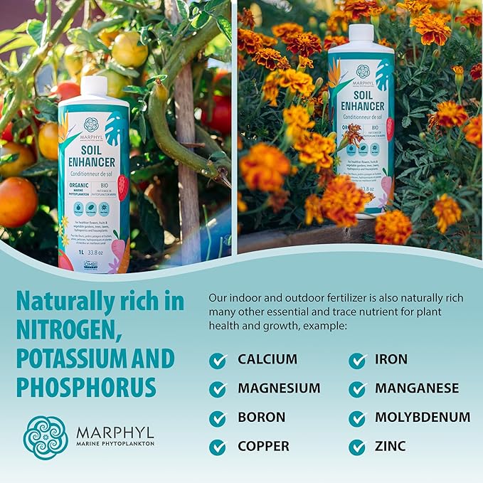 MARPHYL Plant Fertilizer Houseplants and Garden - Marine Phytoplankton Soil Improver and Hydroponic Fertilizer for Grasses, Bamboo, Succulents, & Vegetables - Organic Plant Liquid (Pack of 2)