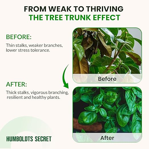 Humboldts Secret Tree Trunk | Potassium Silicate Additive | Liquid Fertilizer for Thicker Stalks, Stress Resistance & Branch Development | Indoor & Outdoor Plant Food, Hydroponic Nutrients, 8 Ounce