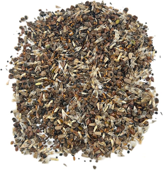 Ferry Morse Wildflower Seeds - All Purpose Sun-Shade, Non-GMO, Sun & Shade Mix - 1 lb - Other