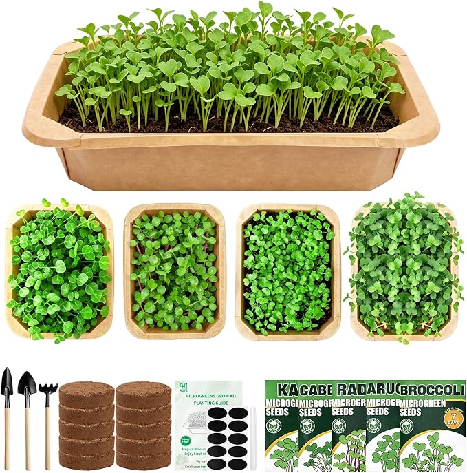 Microgreens Growing Kit Indoor Garden - Complete Micro Greens Growing Kits with 5 Seed Packs - Grow Broccoli, Arugula, Kale, Cabbage, Radish with Waterproof Trays - Grow Microgreens Indoor for Health