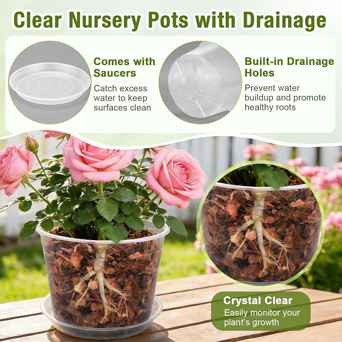 10 Inch Clear Nursery Pots with Drainage and Saucers, 5 Pack Large Clear Plastic Nursery Pots for Plants, Seedling Plant Pots for Repotting and Growing Plants, Flowers & Vegetables (10 inch)