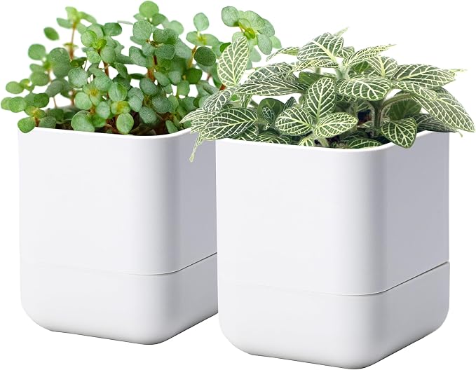 Phoenix Vine 4.5 Inch Wall Mounted Self-Watering Planter Pot for Indoor Houseplants and Herbs | Hanging Planter for Window Sills, Bathroom Walls, Home & Office Décor, White, Set of 2, 01-B-D-2