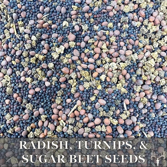 Crooked Bend, Big Bulbs, 25 LBS, Bulk Fall Food Plot Seed Mix for Whitetail Deer & Wild Turkey, No Till & No Plow, Throw & Grow Radish, Turnip & Sugar Beet Seeds