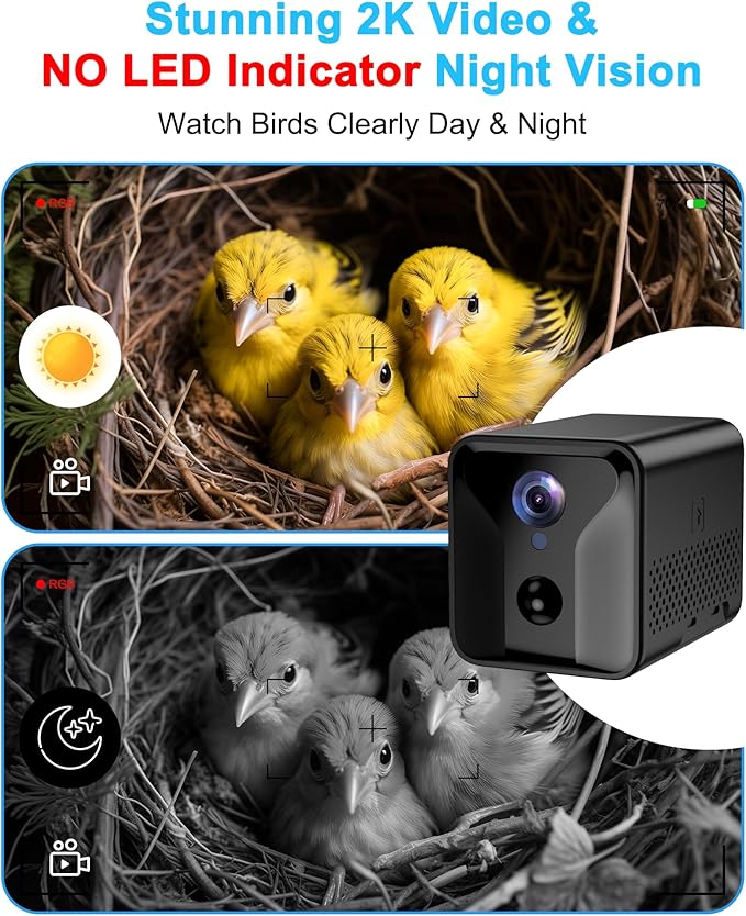 Bird House with Camera Solar Powered,2K HD Wi-Fi Bird Watching, Auto Detect&Notify, Night Vision, APP Control, Birdhouse for Birds Nesting, Wooden Birdhouse with Cam Inside (Include Pole)