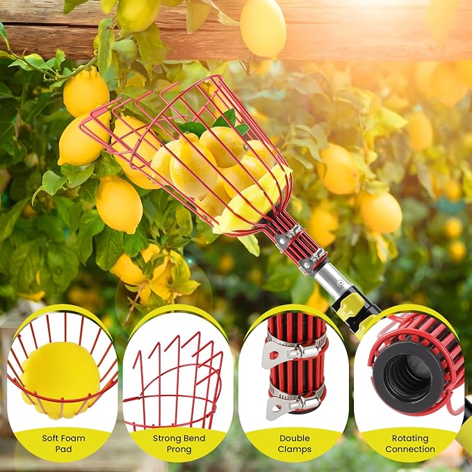 26FT Reach Fruit Picker with Basket, Apple Picking Tool Telescoping Pole, Long-Handle Mango Grabber, Tree Fruit Catcher for Harvesting Lemon Pear Orange Avocado Peach Citrus Grapefruit