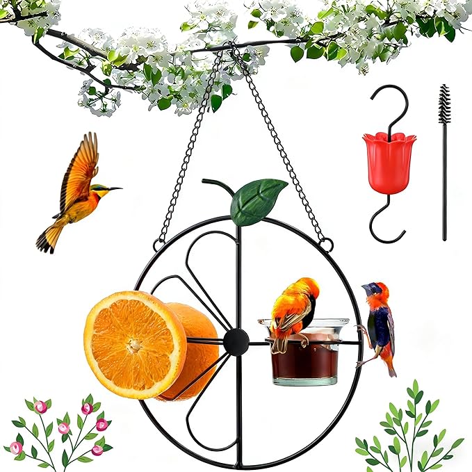 Baltimore Oriole Bird Feeder for Outdoors Oriole Feeder with Ant Moat & Glass Bowl & Ant Moat & Cleaning Brush, Metal Hanging for Jelly, Nectar, Mealworms & Orange Halves(Black,1 Pack)