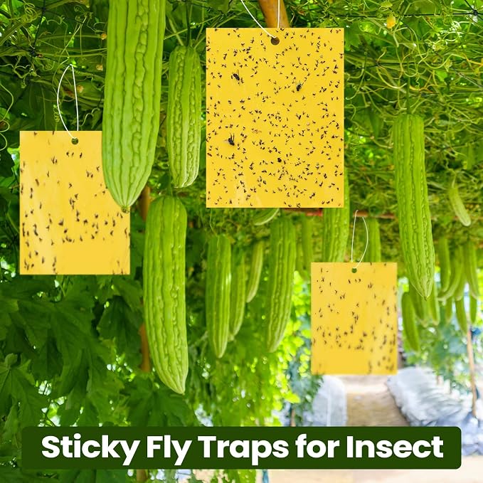 Qualirey 100 Pcs 6x8 Inch Yellow Sticky Traps for Gnats, Dual-Sided Sticky Gnat Traps for Indoor Outdoor Plants, Pest Control for Fungus Gnats, Fruit Flies, Whiteflies – Bulk Pack with Twist Ties