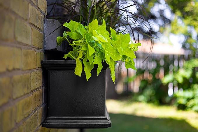 Mayne Fairfield 2ft Window Box, Self Watering Flower Box with Double Wall Design, All Season Fade Resistant Outdoor Window Planter with Steel Mounting Bracket, Black