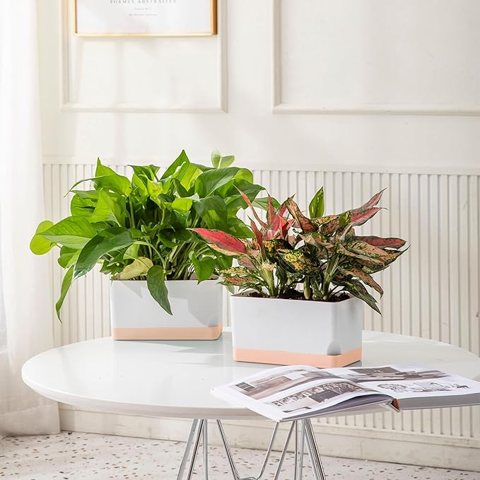 LaLaGreen Bundle- 7 Pack, Small Medium Large Self Watering Planter + 4 Pack, 12 Inch White Geometric Pot Modern Stylish Hanging Vase Decor Windowsill Flower Herb Succulent Holder Boxes Indoor Garden