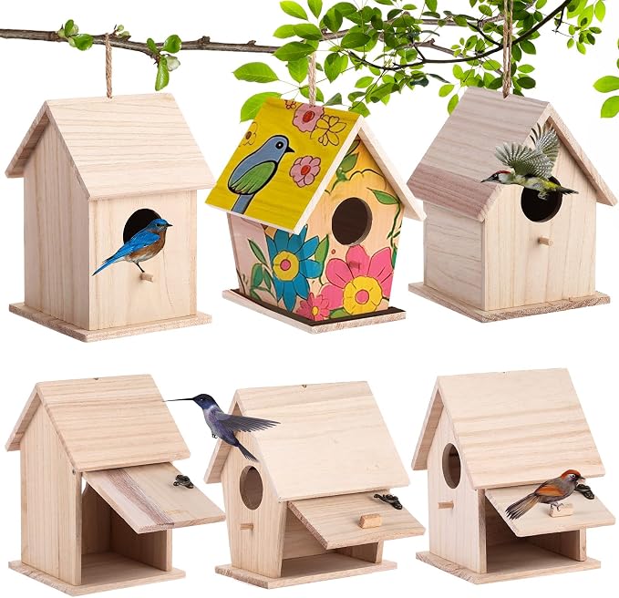 Barydat 6 Pcs Bird Houses Hanging Wooden Bird Houses for Outside DIY Garden Patio Decorative for Swallow Sparrow Hummingbird Finch Throstle Birdhouse Kits Arts and Craft Projects, 3 Sizes