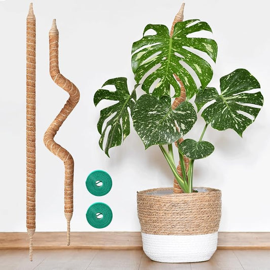 2-Pack 28in Bendable & Sturdy Moss Pole for Climbing Plants, Coco Coir Plant Support Stakes for Monstera, Pothos Vines, Philodendron, Fishbone Cactus & Indoor Tropical Houseplants