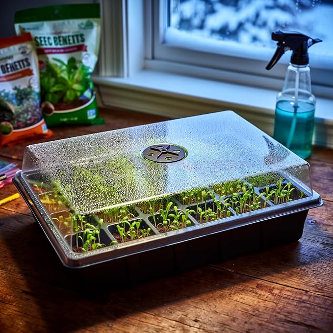 24XL Cell Seed Starter Tray with Dome, 5-Pack 2" Plug Seedling Trays (Total 120 Cells), Plant Germination Tray with Humidity Vented Lid and Base, Mini Propagator Plant Greenhouse for Seed Growing