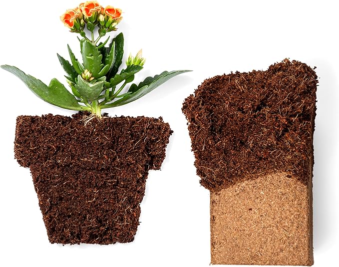 Coco Coir 650gm Bricks (6-Pack) - Organic Coco Coir for Plants & Gardening - OMRI-Listed Cocopeat for Garden Soil, Seed Starter Soil, & Mulch - Coconut Coir Bricks - Coconut Fiber Potting Mix