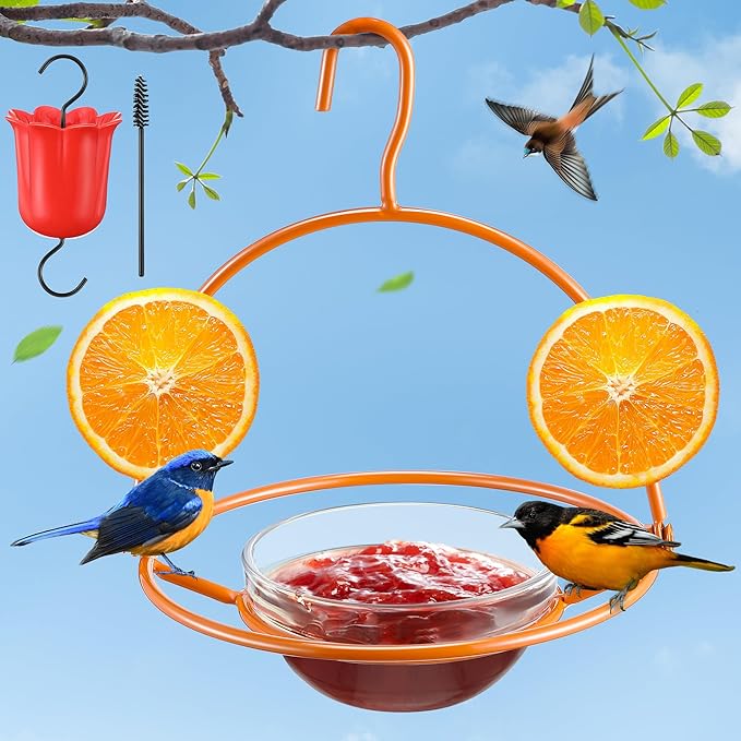 Metal Oriole Feeders for Outdoors Hanging with Ant Moat and Fruit Holder, Oriole Feeder with Glass Bowl, Easy to Disassemble and Wash, Bird Feeder for Garden, Outdoor, Gift (1 Pack, Orange)