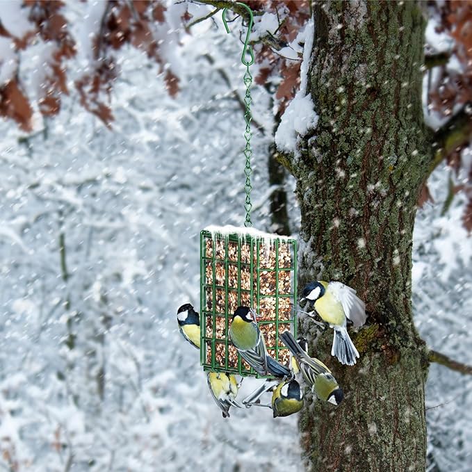 FLINTER Bird Feeder for Outdoors, Suet Feeder Hanging Bird Feeder, Hanging for Garden Yard Outside - Single Suet Cake Feeders fo Attracting Birds, Green