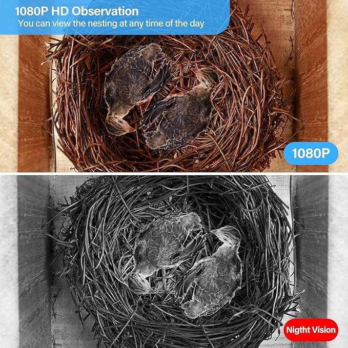 Bird House with Camera, 1080p HD Bird Houses for Outside with Nest Auto Capture Photo & Video, Smart Bird House with Camera Solar Powered 2.4G WiFi & App Notify in Real Time Dark Color (Light, Normal)
