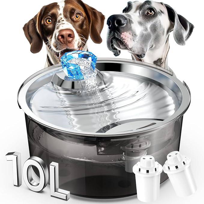 lesotc Dog Water Fountain for Large Dogs/Cats, 2.6 Gallon Pet Water Fountain Cat Water Fountain 10L Dog Water Bowl Dispenser with Stainless Steel Filtered Drinking Bowl for Dogs & Cats & Multiple Pets