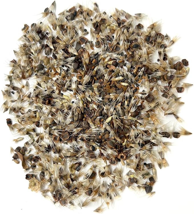 Ferry-Morse Wildflower Seeds - Colorado Western Mix, Non-GMO, Outdoor, Full Sun - 1 lb