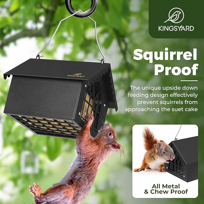 Kingsyard Double Upside Down Suet Feeder with Weatherproof Roof, All Metal Suet Feeders for Outdoors Hanging, Great for Downy Woodpecker Nuthatch Chickadee, Black