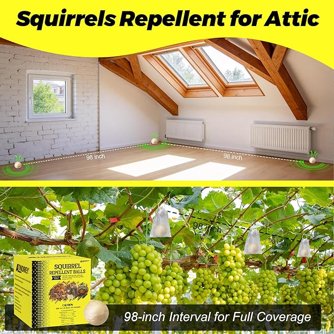Squirrel Repellent Balls- Chipmunk & Rodent Deterrent for Outdoor & Indoor Use, Attic, Garden, Cars, Bird Feeders - Safe for Pets & Kids, Lasts 30-60 Days (12)