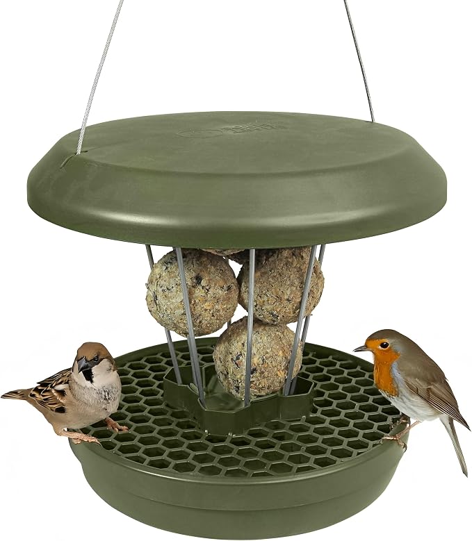 SWISSINNO Bird Feeders - No Mess Fat Ball/Suet Feeder for Outdoors Hanging - Smart Birds Lucerne Spill Proof Wild Cardinal Bird Feeder with Integrated Seed Catcher Tray - Green