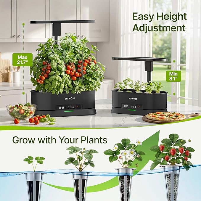 SUNCOZE Hydroponics Growing System Kit with Split Tank, Dimmable 36W Full Spectrum LED Grow Light, 12 Pods Indoor Herb Garden with Timer & Clock Smart Pane, 21.65 Inch Height Adjustable Herb Garden