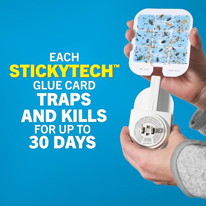 Safer Home SH506 Trap Refill Pack of Glue Cards for SH502 Indoor Fly Trap, Official Safer Home Refills with StickyTech Glue Card Technology, 6 Count (Pack of 1)