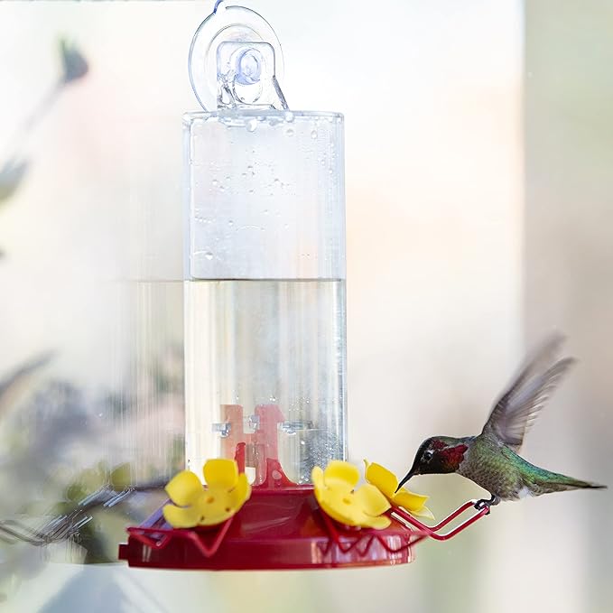 Perky-Pet Plastic Window Mount Hummingbird Feeder with Perches - 8 oz Hummingbird Nectar Capacity,217 -Hummingbird feeders for Outdoors,(Pack of 6)