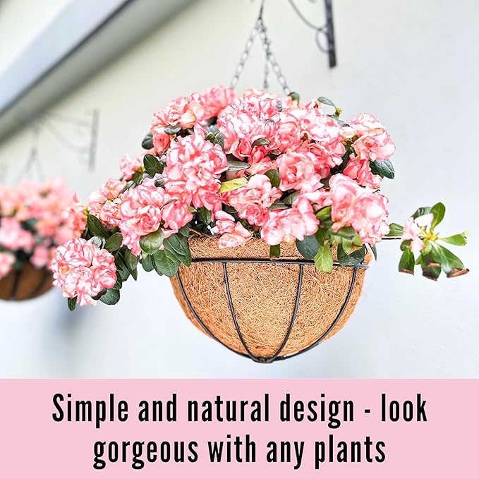 LaLaGreen Hanging Baskets for Plants (6 Pack, 10 Inch) Hanging Planter Outdoor with Coco Liner, Metal Wire Flower Basket Pots Holder Hanger Hook Deck Patio Porch Garden Balcony Outside Decoration