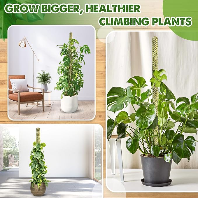 DUSPRO 2 Pack 22" White Stackable Mesh Moss Pole for Plants – Extendable Up to 39", Natural Forest Moss Pole Monstera Plant Support, Moss Stick for Climbing Plants, Indoor Plant Stakes Accessories