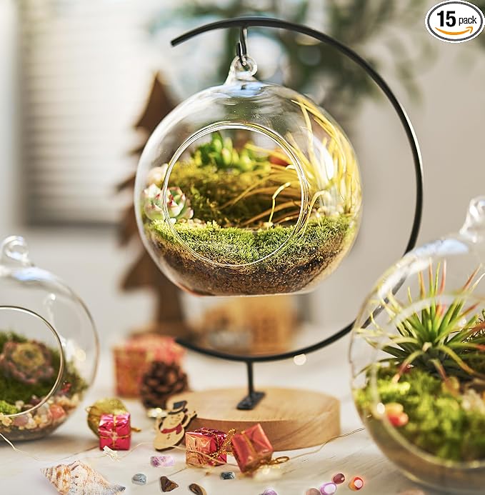 LUCKYRUNES DIY Terrarium Kit with Live Moss, 15-Piece Glass Globe Set with Wooden Stand, Tools, Soil, Stones & Spray Bottle, Indoor Mini Garden Gift for Plant Lovers, Home Desk Decor